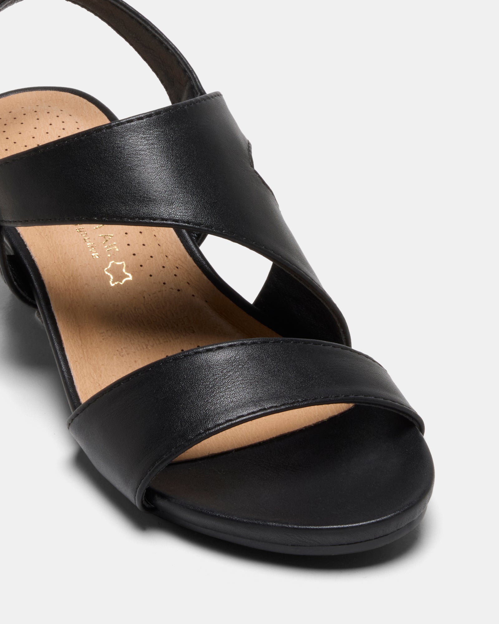 Fusion Black